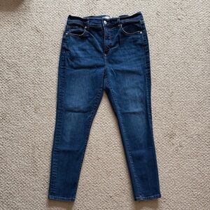 LOFT Indigo Skinny Jeans